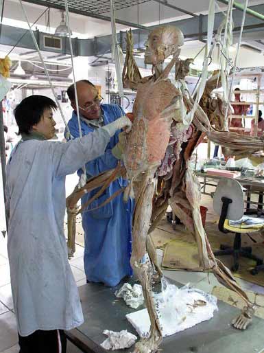 人体的70%是液体,这些液体对於人的生存及死