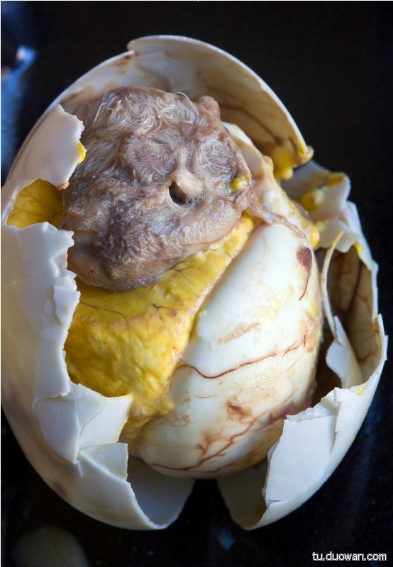 你敢吃吗?全球十大新奇<em>重口味</em>食物(组图)--江西