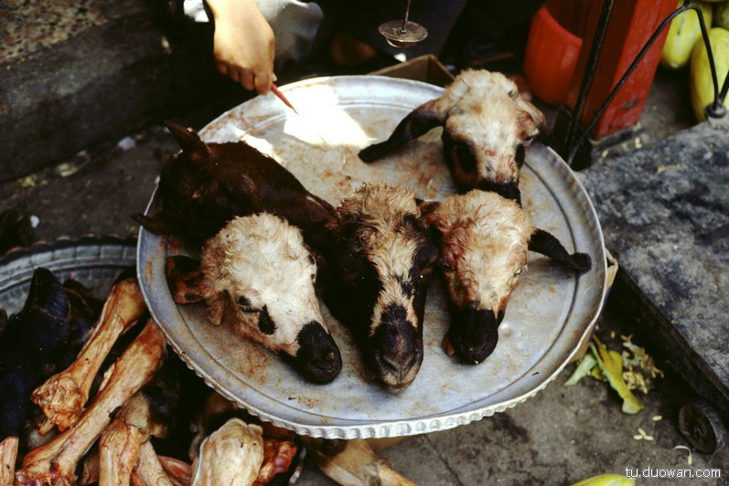你敢吃吗?全球十大新奇<em>重口味</em>食物(组图)【9】