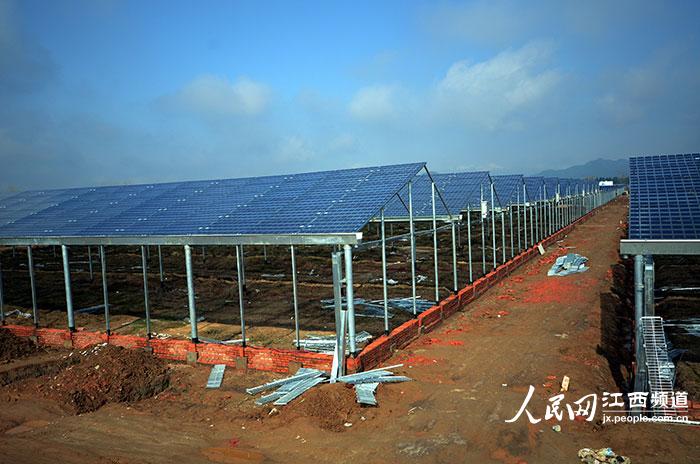 高清组图:江西建首个太阳能光伏蔬菜大棚基地