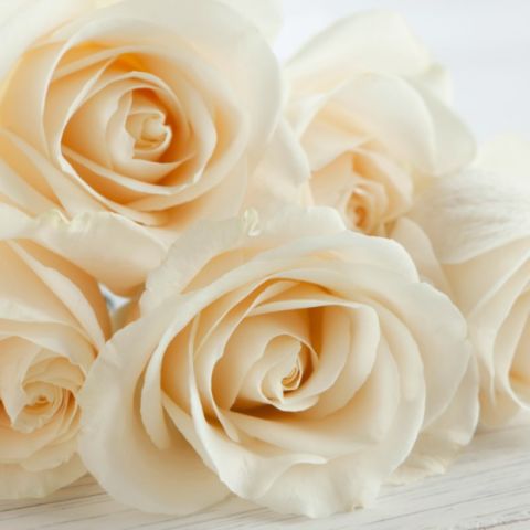ϣЫ벻ˡЫڰɥʧԼ̫Է뷨Է˵ʲôǶԵģԷоֹĹ۲죬ԷԼƤ²ŷ