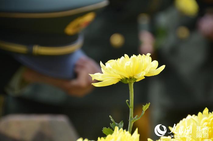  鲜花寄托哀思，武警战士脱帽向革命先烈献花缅怀。