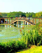 艾溪湖公园 天然湿地,情侣们如果想远离喧嚣找个地方独处,艾溪湖是最好去处。
远离市中心,干净的湖面,宁静的湖畔,清新的空气...仿佛回到儿时的乡野湖畔。