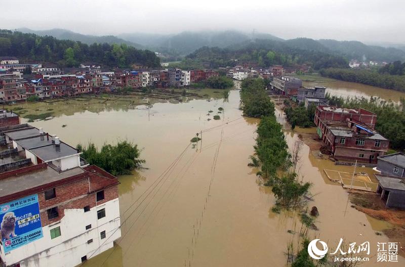 近期的强降雨导致赣县王母渡、大田、大埠等多个乡镇农田、道路设施被淹受灾。