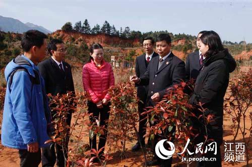 安远县人民检察院:开展生态检察专项监督活动