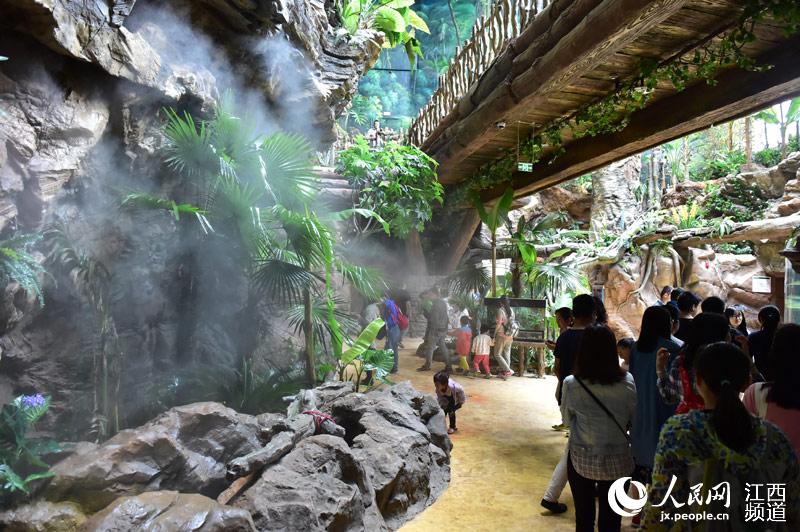 南昌万达海洋乐园试营业 游客亲密接触百余种