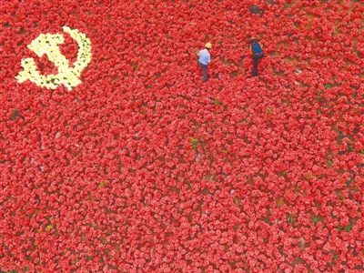 江西横峰县:花卉"党旗"庆七一(图)