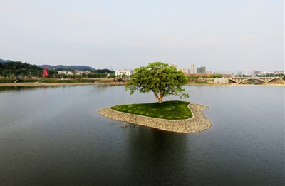 “湖心树”成风景