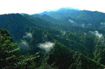 江西森林覆盖率居全国第2