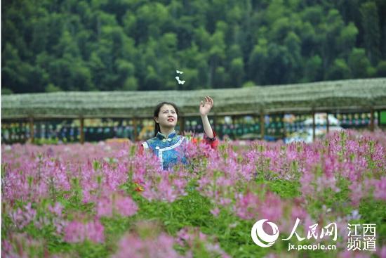 梅岭首届百合主题花卉节开幕 浪漫花海惹人醉（组图）