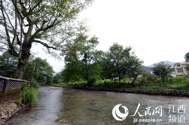 江西武宁：东山村靠水“东山再起” 长水村靠山吃生态饭