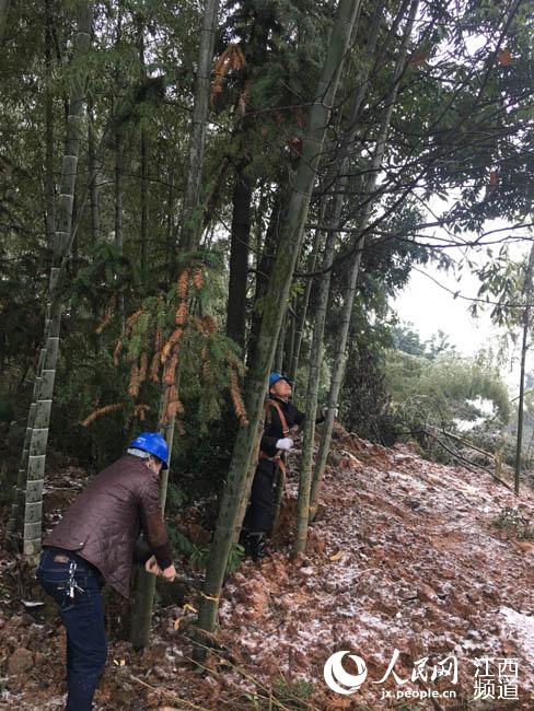 江西遭遇低温雨雪冰冻天气 多地浴“雪”奋战