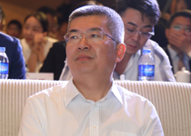九江市政協副主席、共青城市委書記 王豐鵬