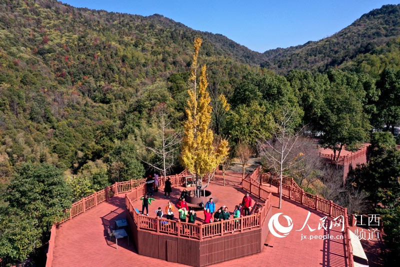 航拍镜头下,绿色,红色,黄色…色彩斑斓的丫山令游客流连忘返.