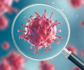 新型冠狀病毒，我們該怎麼預防？根據中疾控和世界衛生組織各方專家的觀點，公眾預防應注意以下四個方面