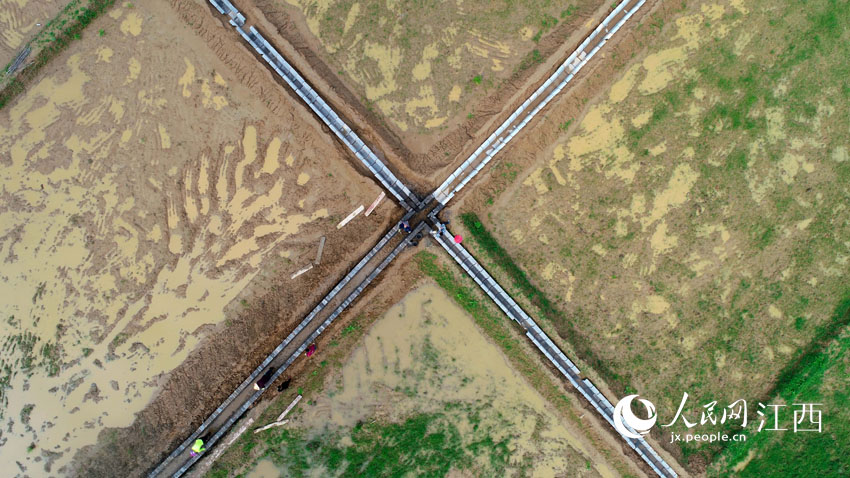 航拍鏡頭，施工人員在萬載縣鵝峰鄉多江村田間加快修建灌溉水渠。（鄧龍華/攝）