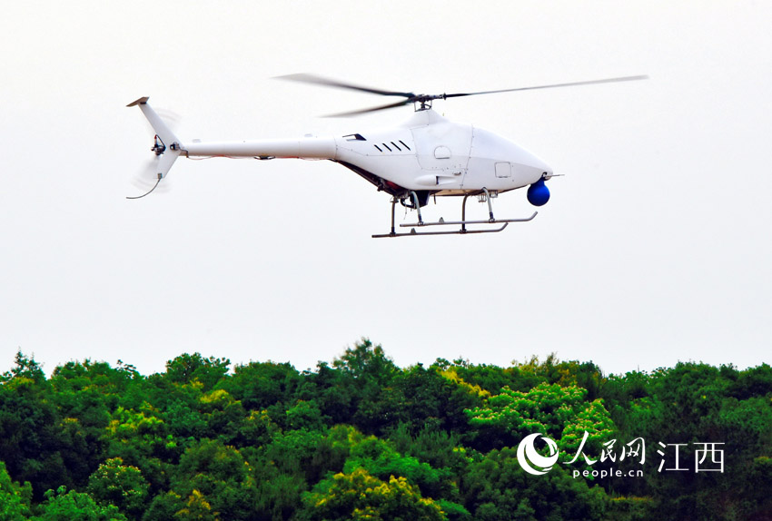 AR500C高原型無人直升機在鄱陽無人機基地成功實現首飛。（何歡/攝）