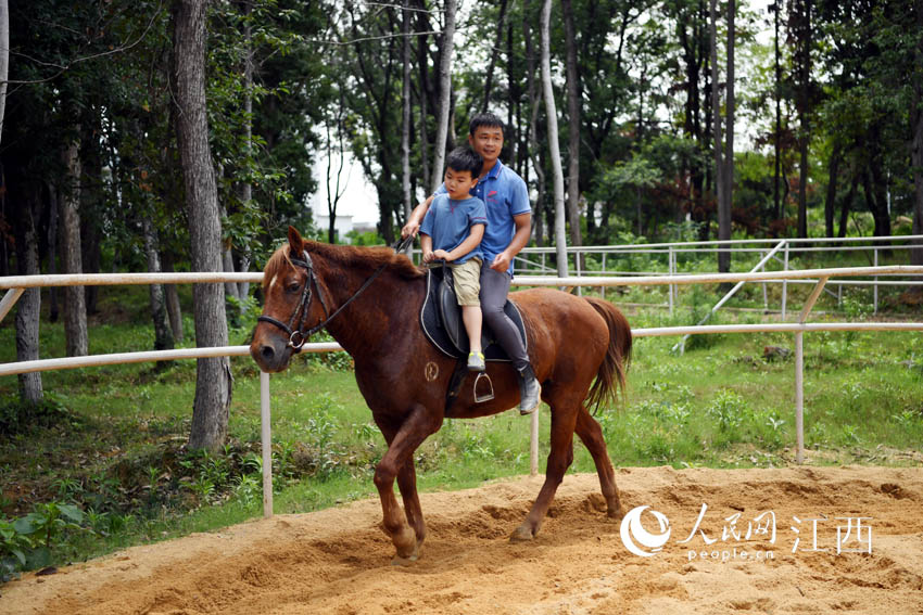 双休日，在南昌市湾里区罗亭镇义坪村的一家马术俱乐部，人们在体验骑马乐趣。（时雨/摄）