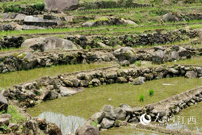 ����ظ�Դ���ɽͷ��������ڲ���ˮ������׿��ΰ �㣩