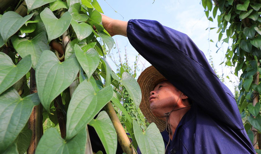 ����̩�ͣ���ƶ����ܻ�æ��4��