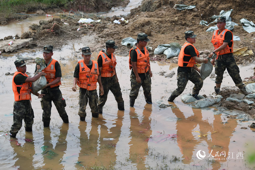 站在水坑中，武警戰士用接力的方式運送沙袋。（人民網 時雨/攝）