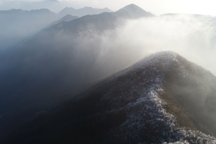 太平山景區迎今冬首場霧凇