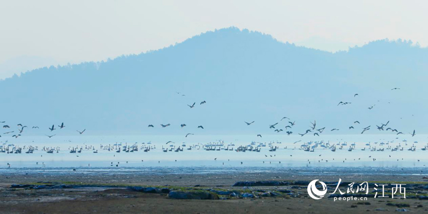 �׺ס����͡�̫����ʪ�� ������ ��