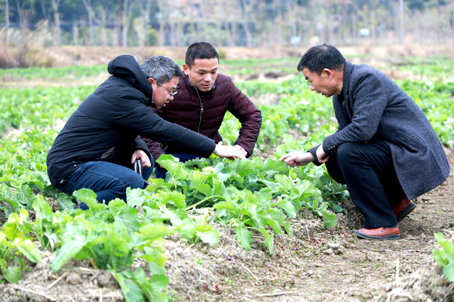 2021年1月8日，在江西省贛州市全南縣南逕鎮大田村高山蔬菜基地，農技人員正在向種植戶詳細介紹蔬菜應對寒流的管理方法。