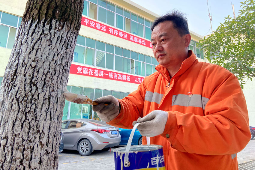 帥金平做好車間置場文明建設，做好樹木防凍工作。（付順明 攝）