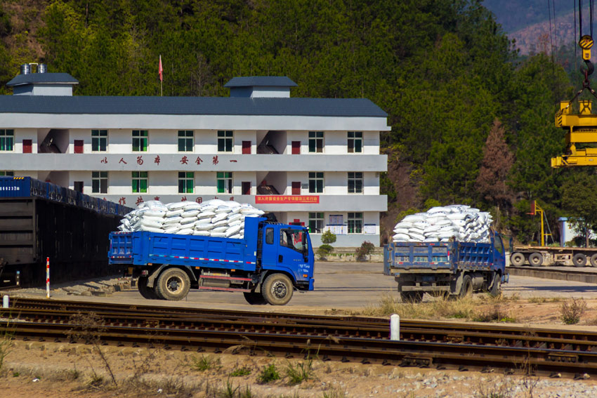 裝卸完畢的貨車迅速將化肥轉運至田間地頭，助力春耕。（鄒陽 攝）