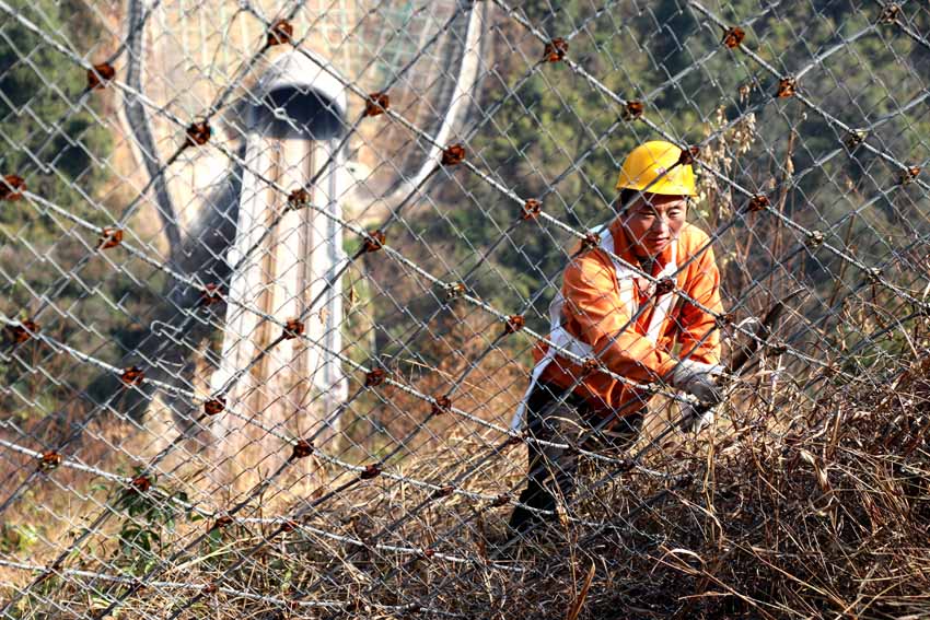 清理雜草確保水溝排水順暢  潘友南 攝