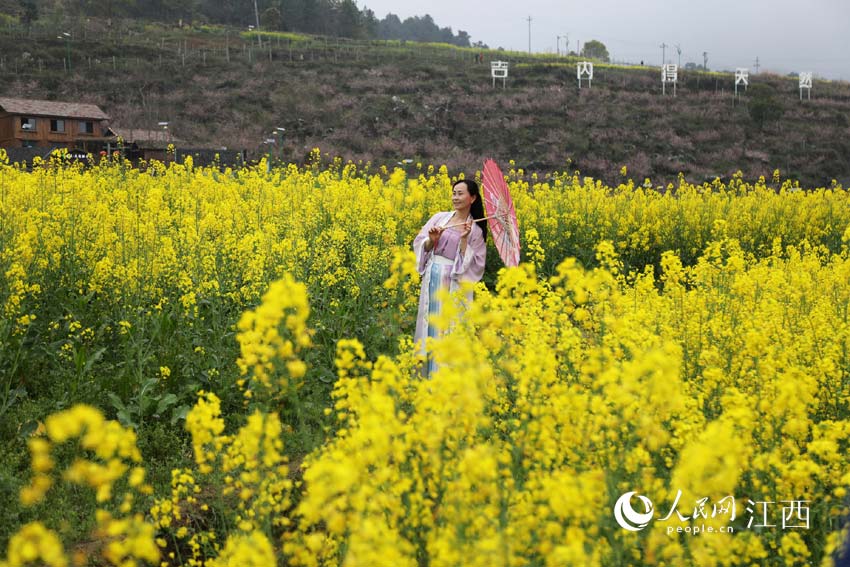 人們在油菜花田游玩（賀治斌 攝）