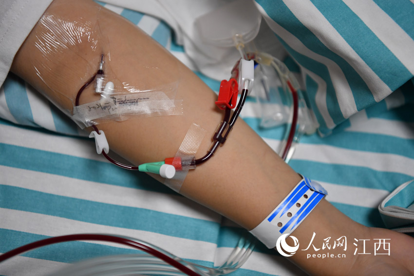 採集室內，新余19歲校大學生黃美華正在進行造血干細胞捐獻。（人民網 時雨攝）