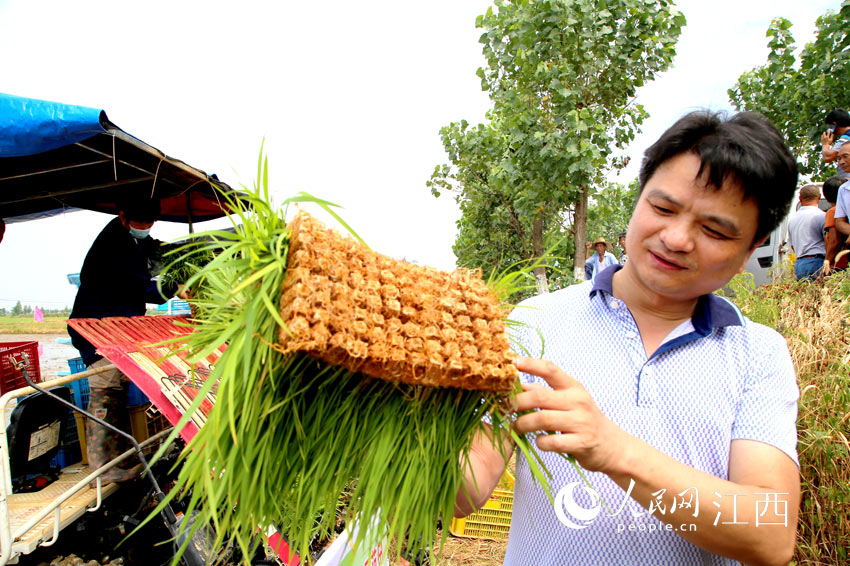 萬年縣農業技術人員向農民展示大缽體育秧秧盤。（劉存文 攝）