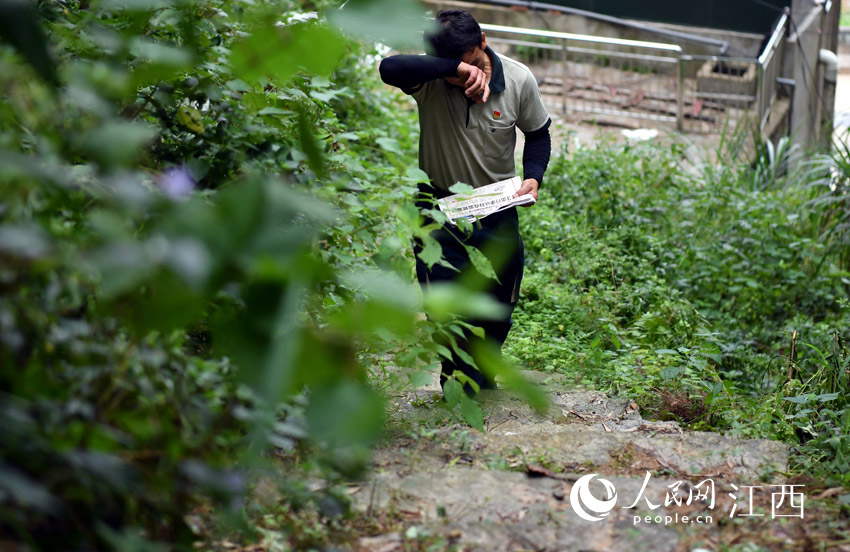 自行車不能前行的地方，鄧六林步行上山，為村民送報紙和包裹。（人民網 時雨攝）