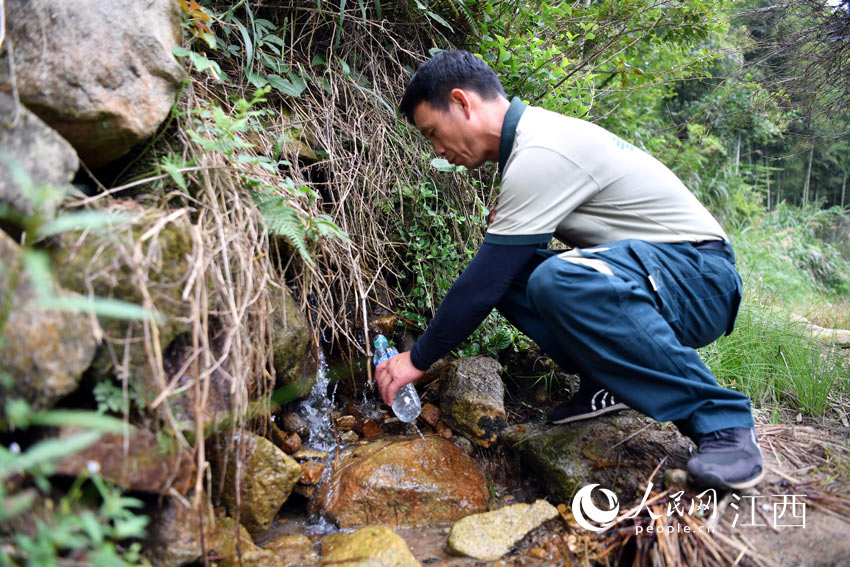 鄧六林用礦泉水瓶接山泉水喝，他說，山泉水干淨清甜。（人民網 時雨攝）