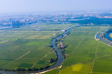 江西共青城：庄稼茂盛 水渠蜿蜒