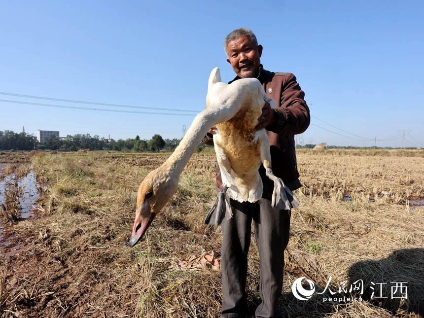 ������ѧԱ��С��찮�����֡� �ν��� ��