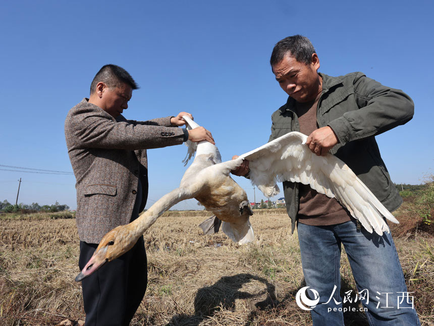 �񾯺;Ȼ�Ա�����˵�С�����������顣 �ν��� ��