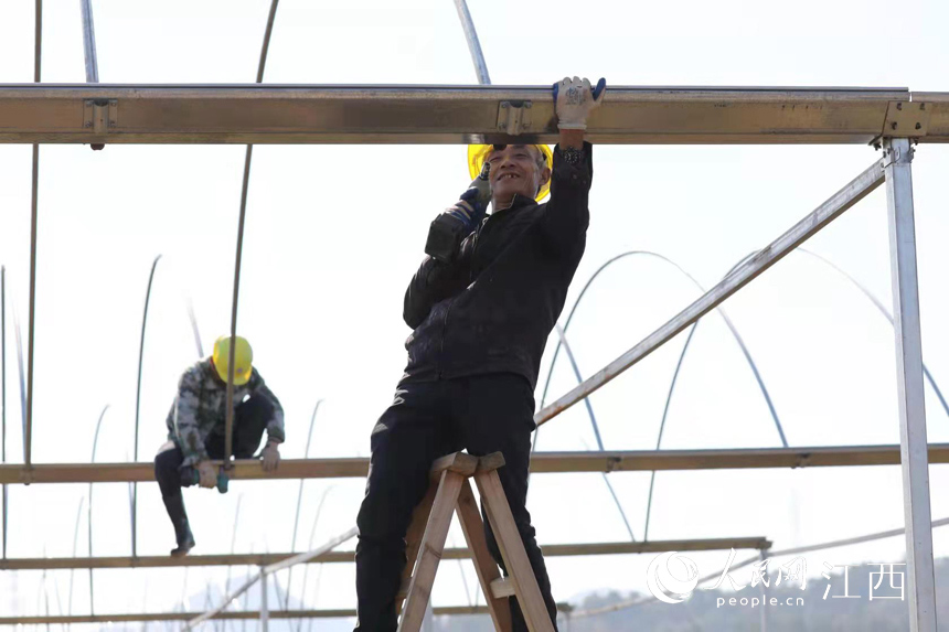 ���ݶ������η�������߲���ֲ���أ����������ڴ�߱�׼�߲˴�� �ķ��� ��