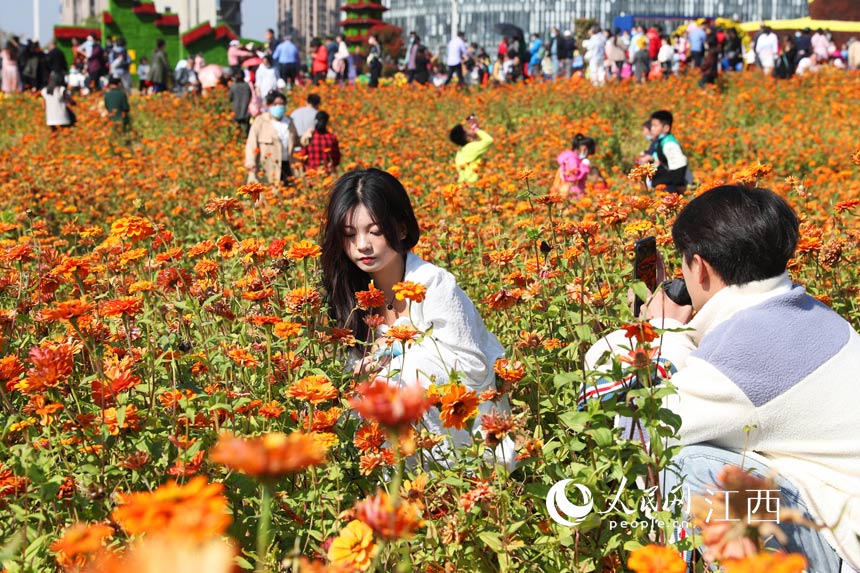市民正在觀賞菊花。 涂歡攝