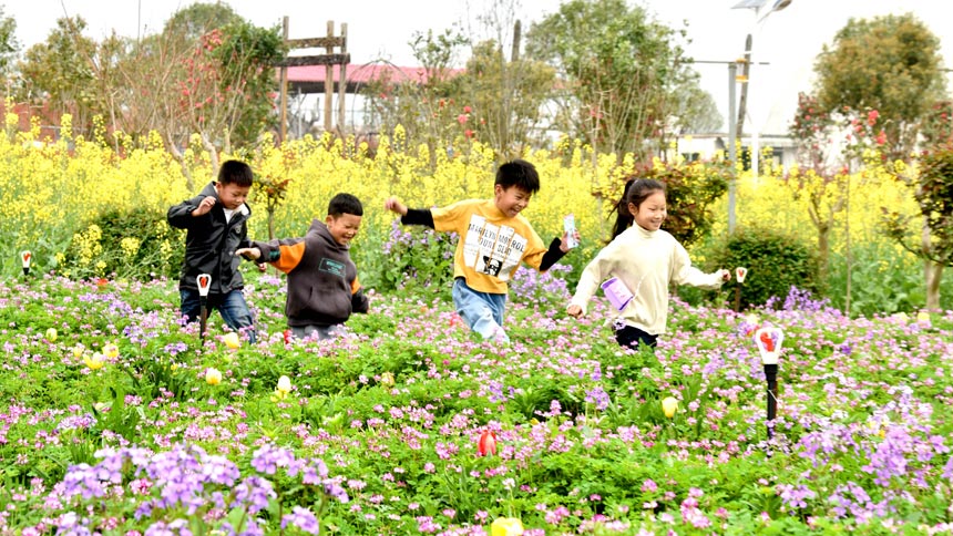 ���������ڶ�ɫ�����п��ĵ����档�춨����