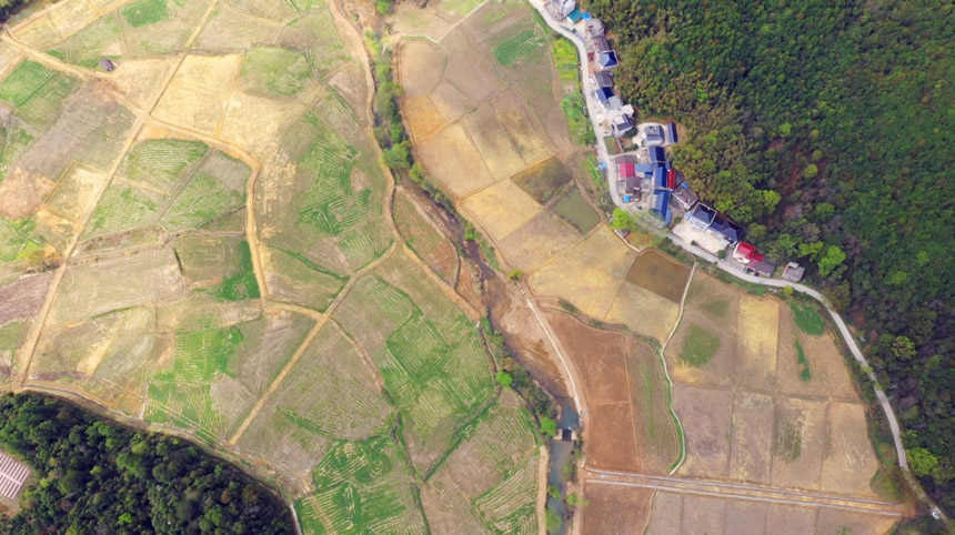 航拍高標准農田建設。楊汶鑫攝