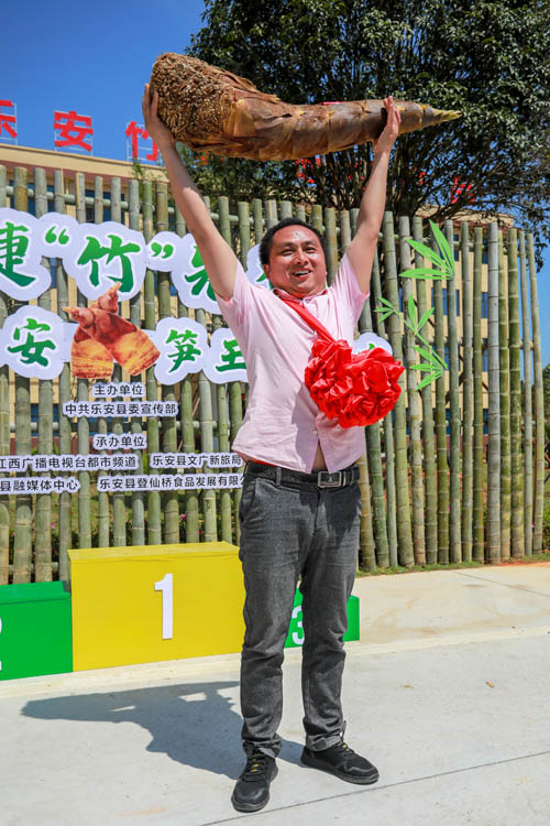 南村鄉村民王洪波挖的筍獲得該縣“筍王”榮譽稱號。 黃煜 攝