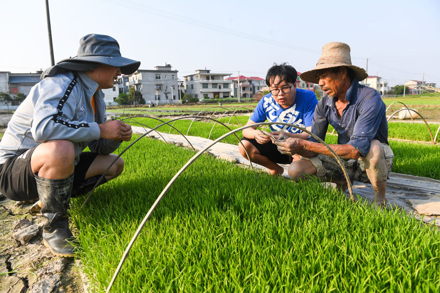 硕士研究生贾震（左一）在田间与农户探讨水稻秧苗育秧技巧。周亮摄