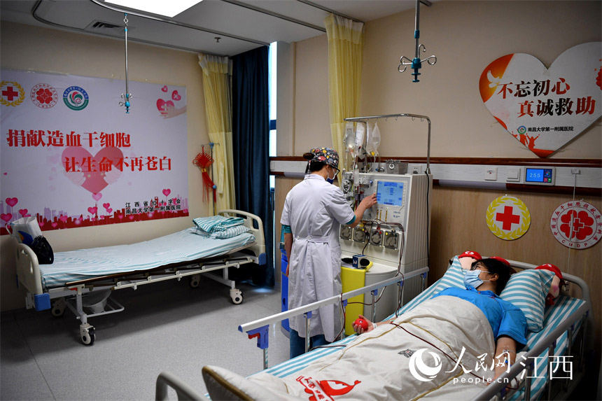 在醫院干細胞採集室，小慧躺在床上正在採集造血干細胞。 人民網 時雨攝