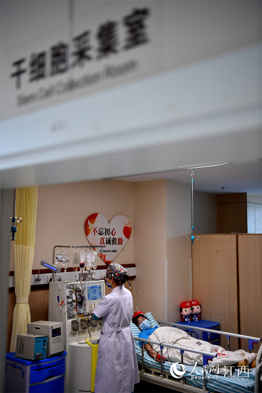 在醫院干細胞採集室，小慧躺在床上正在採集造血干細胞。 人民網 時雨攝