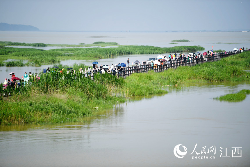 “水上公路”美景吸引眾多游客前來打卡。人民網 時雨攝