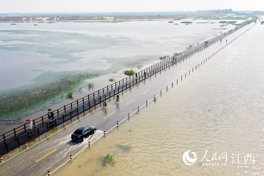 鄱陽湖上的永吳公路，汽車在水面行駛。人民網 時雨攝