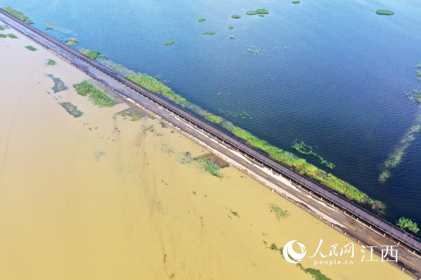 永吳公路如一道“分割線”，航拍鏡頭下鄱陽湖湖水清濁分明。人民網 時雨攝